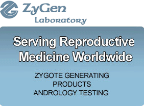 zygen