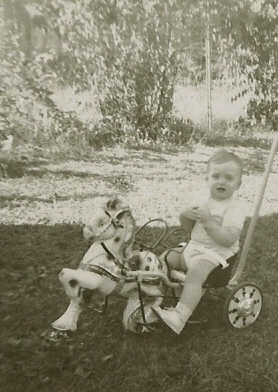 donor in a baby chariot